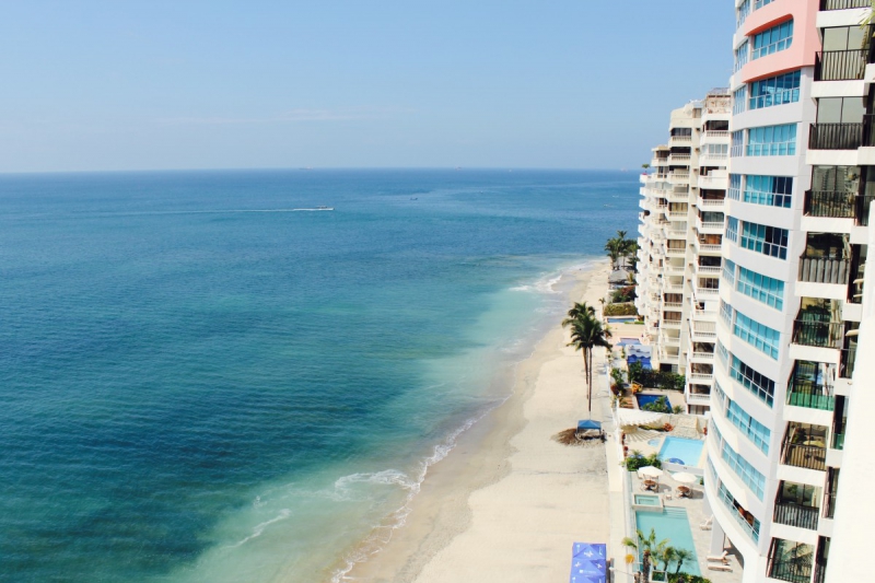 chambre-hote-LE LAVANDOU-min_beach_ocean_shore_hotel_palm_tree-33726